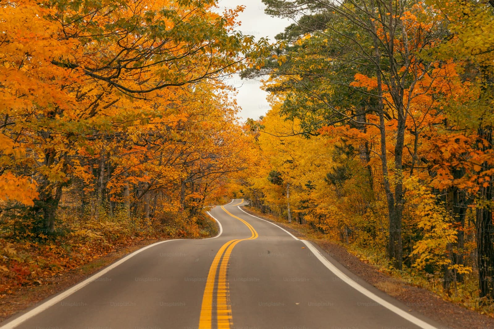 Seasonal — insurance-related stock photo